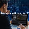 Top 10 Trader Forex giỏi nổi tiếng nhất Việt Nam 2022, huyền thoại, thành công