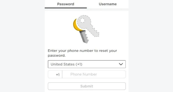 Cách lấy lại mật khẩu Roblox không cần Email 2
