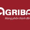 Phí rút tiền thẻ ATM Agribank 2024 cùng và khác ngân hàng