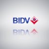 Ngân hàng BIDV là ngân hàng? Giờ làm việc và những điều cần biết