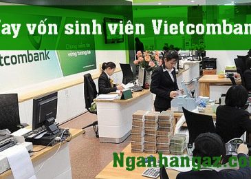 Vay vốn sinh viên Vietcombank 2024: Lãi suất, gói vay, thủ tục đăng ký