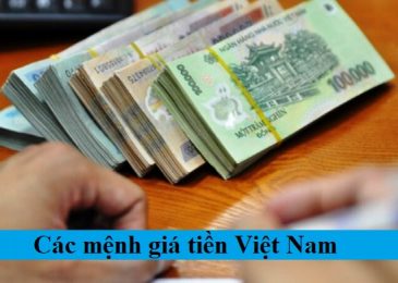 Các mệnh giá tiền Việt Nam qua các thời kỳ trước đến nay