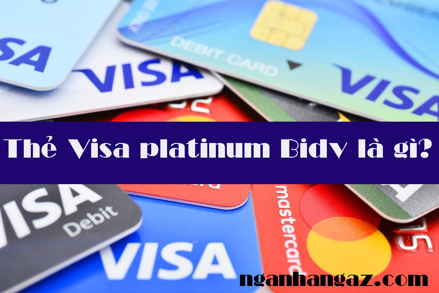The-Visa-platinum-Bidv-la-gi