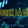 Bản Chất Thị trường giao dịch Ngoại hối Forex là gì? Lịch sử, hoạt động, kiếm tiền