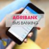 Cách đăng ký SMS Banking Agribank qua điện thoại, online, trực tuyến 2024
