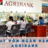 Lãi Suất Vay Vốn Bằng Giấy Phép Kinh Doanh ngân hàng Agribank