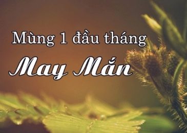 Mùng 1 nên Mua Gì cho may mắn?  10+ Món đồ may mắn cả tháng 2024