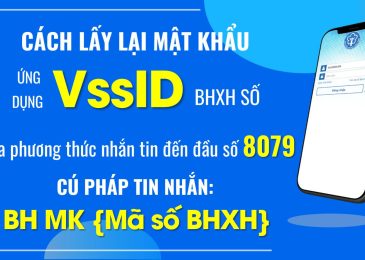 Cách lấy lại mật khẩu VSSID Bảo hiểm xã hội khi quên email trên điện thoại