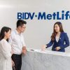Các gói bảo hiểm của BIDV Metlife, Nên mua gói nào tốt nhất 2024