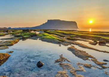 Du lịch đảo Jeju có cần Visa không? Chi phí, Kinh nghiệm