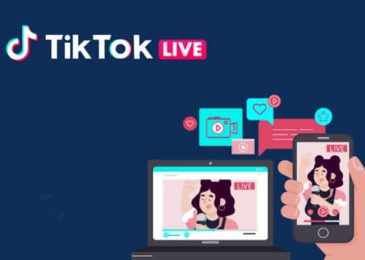 Hướng dẫn cách Live TikTok bằng OBS trên máy tính chi tiết 2024