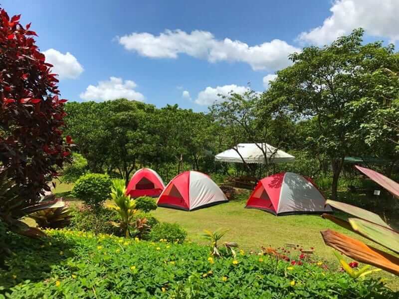 Dịch vụ cắm trại ở Ecopark là gì?