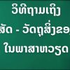 Tiếng dân tộc Thái có giống tiếng Thái Lan không?