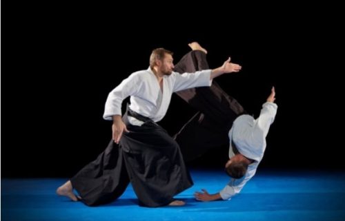 judo những môn võ mạnh nhất việt nam