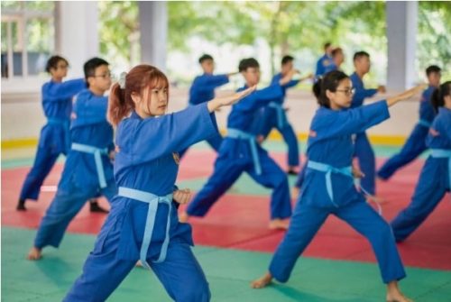 vovinam những môn võ mạnh nhất việt nam