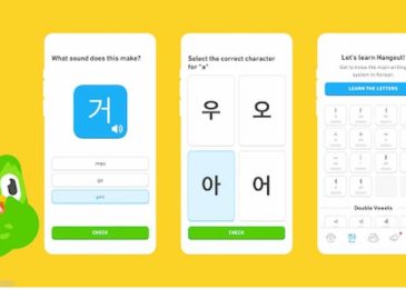 Cách học tiếng Hàn, Nhật trên Duolingo bằng tiếng Việt 2024