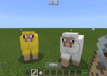 Cách làm cừu 7 màu trong Minecraft 2023